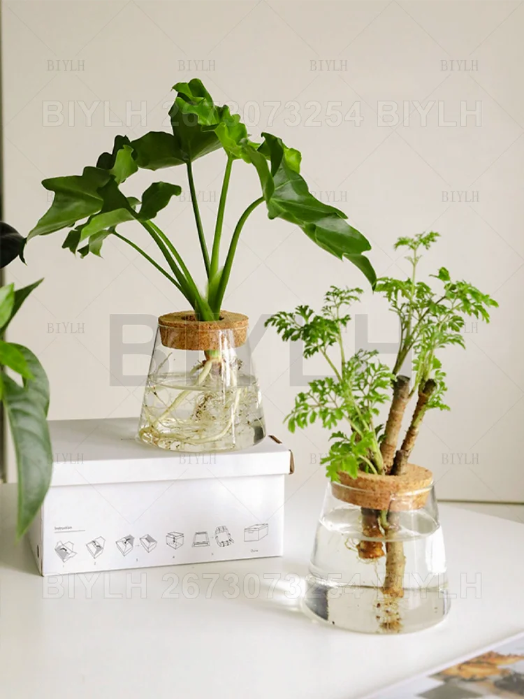 2/1Pcs Transparent Small Vase For Home Decoration Hydroponic Plants Glass Flower Pots Garden Decor With Base Tray Plant Pots