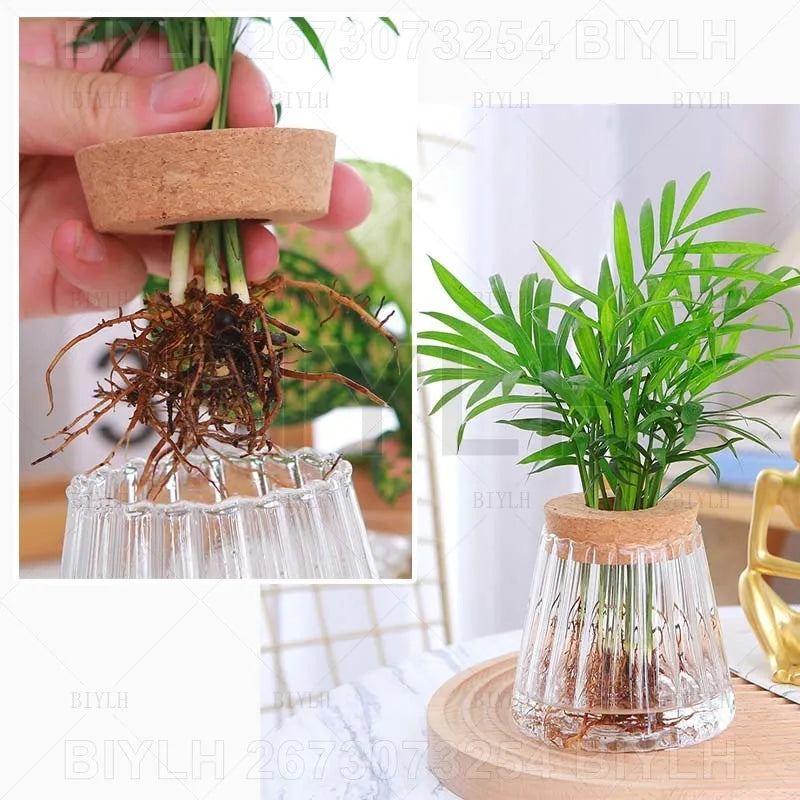 2/1Pcs Transparent Small Vase For Home Decoration Hydroponic Plants Glass Flower Pots Garden Decor With Base Tray Plant Pots