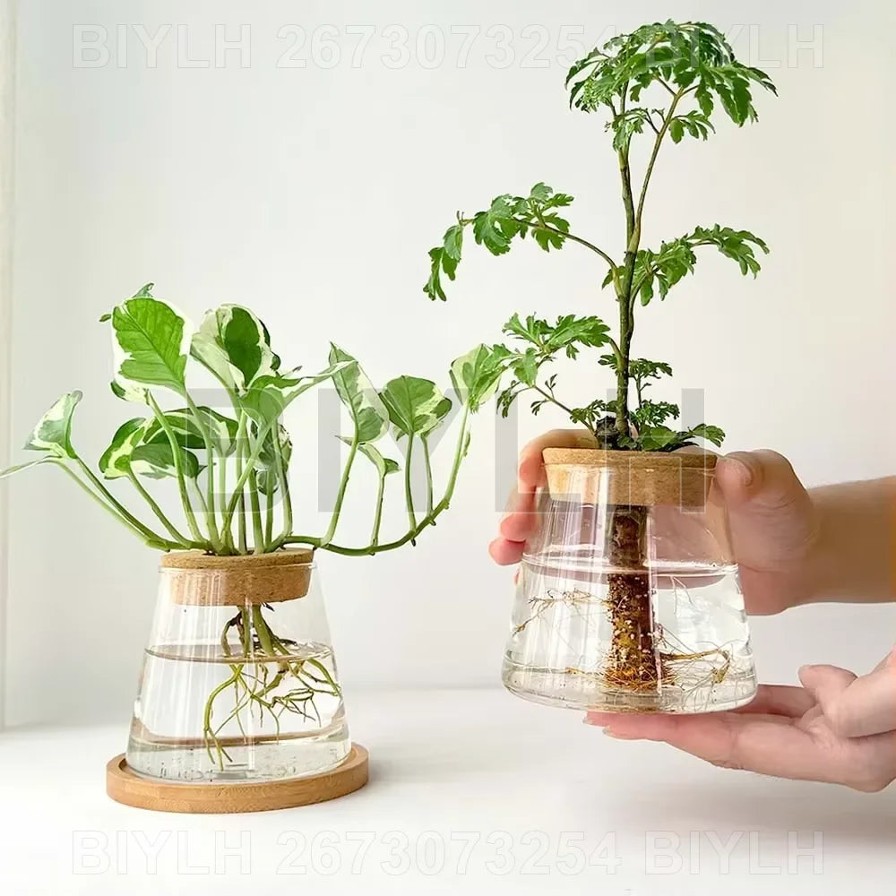 2/1Pcs Transparent Small Vase For Home Decoration Hydroponic Plants Glass Flower Pots Garden Decor With Base Tray Plant Pots