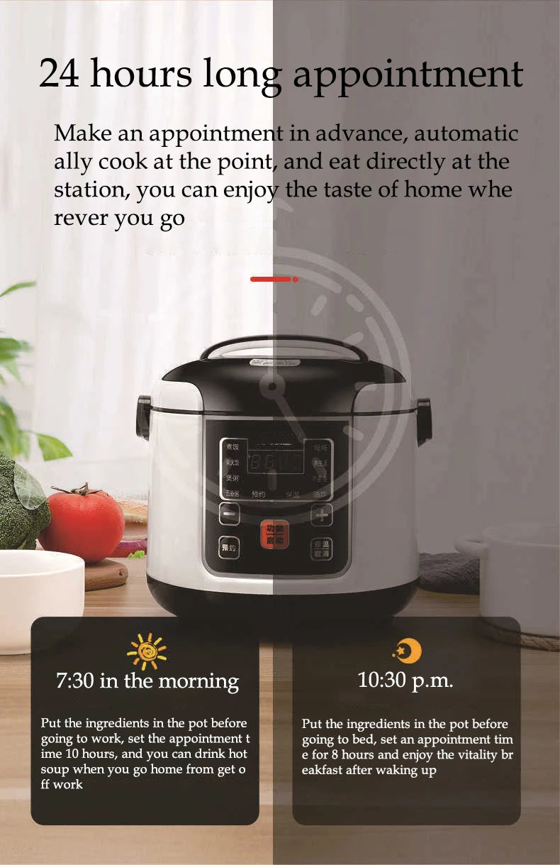 Portable Cooker 2L