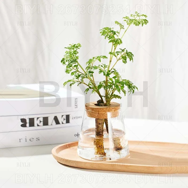 2/1Pcs Transparent Small Vase For Home Decoration Hydroponic Plants Glass Flower Pots Garden Decor With Base Tray Plant Pots
