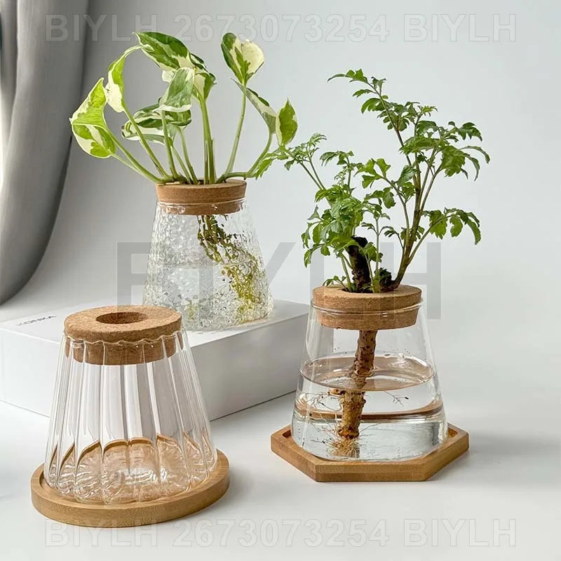 2/1Pcs Transparent Small Vase For Home Decoration Hydroponic Plants Glass Flower Pots Garden Decor With Base Tray Plant Pots
