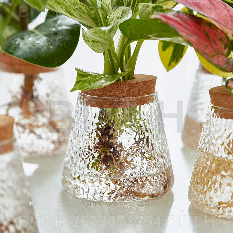 2/1Pcs Transparent Small Vase For Home Decoration Hydroponic Plants Glass Flower Pots Garden Decor With Base Tray Plant Pots