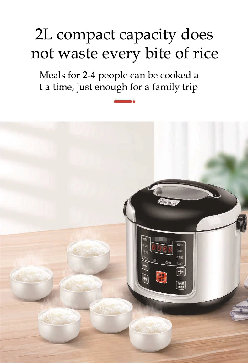 Portable Cooker 2L