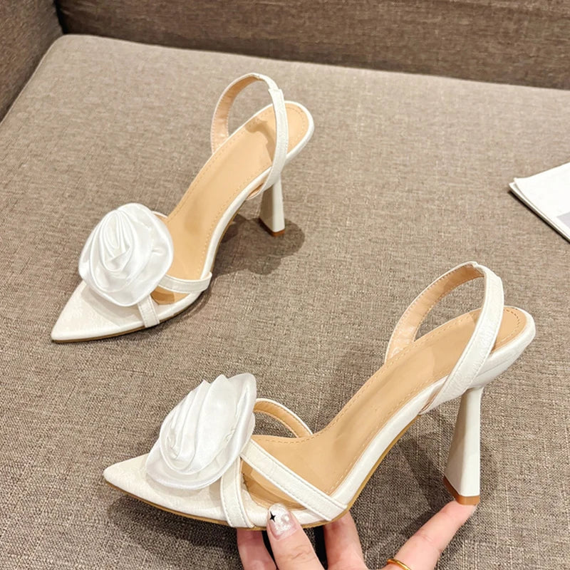 trendy shoe