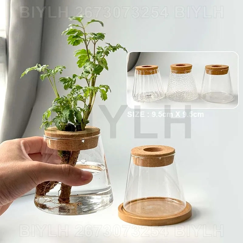 2/1Pcs Transparent Small Vase For Home Decoration Hydroponic Plants Glass Flower Pots Garden Decor With Base Tray Plant Pots