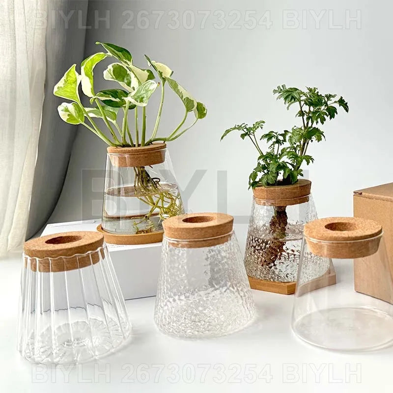 2/1Pcs Transparent Small Vase For Home Decoration Hydroponic Plants Glass Flower Pots Garden Decor With Base Tray Plant Pots