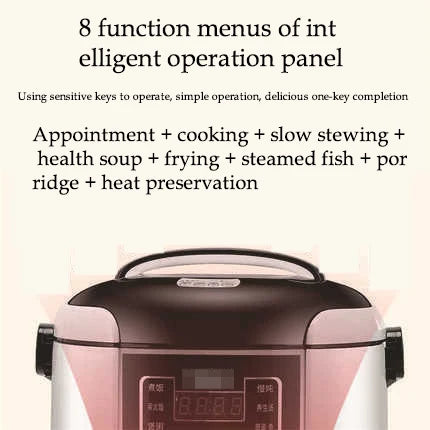 Portable Cooker 2L