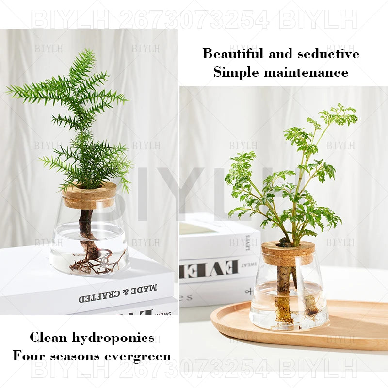 2/1Pcs Transparent Small Vase For Home Decoration Hydroponic Plants Glass Flower Pots Garden Decor With Base Tray Plant Pots