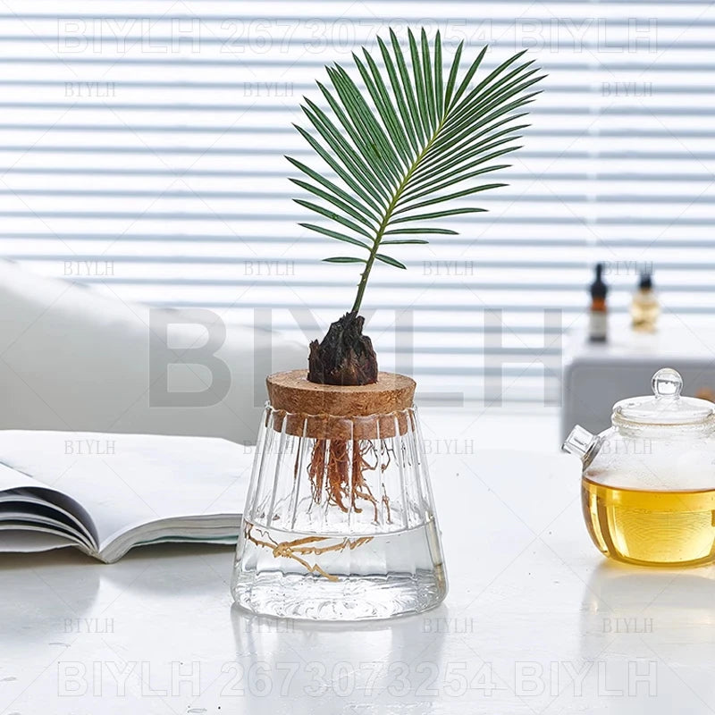 2/1Pcs Transparent Small Vase For Home Decoration Hydroponic Plants Glass Flower Pots Garden Decor With Base Tray Plant Pots