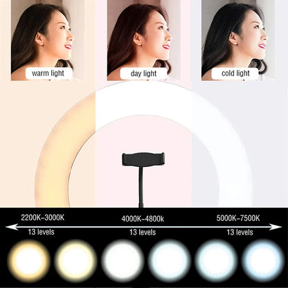 10 inch LED Selfie Ring Light