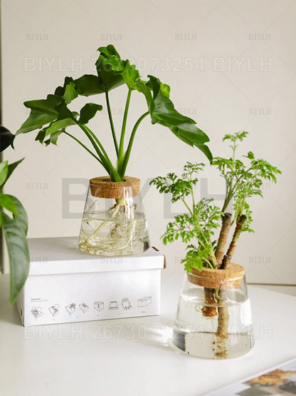 2/1Pcs Transparent Small Vase For Home Decoration Hydroponic Plants Glass Flower Pots Garden Decor With Base Tray Plant Pots