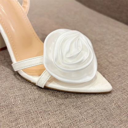 trendy shoe