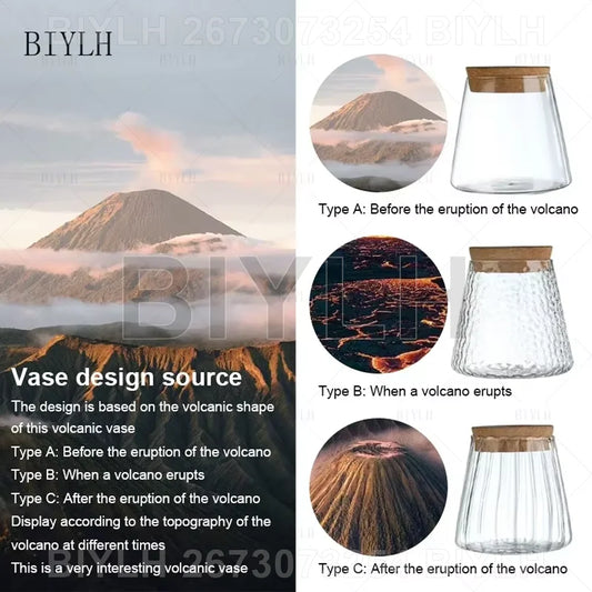 2/1Pcs Transparent Small Vase For Home Decoration Hydroponic Plants Glass Flower Pots Garden Decor With Base Tray Plant Pots