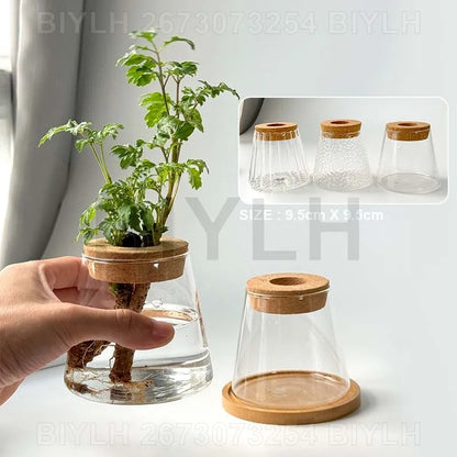 2/1Pcs Transparent Small Vase For Home Decoration Hydroponic Plants Glass Flower Pots Garden Decor With Base Tray Plant Pots