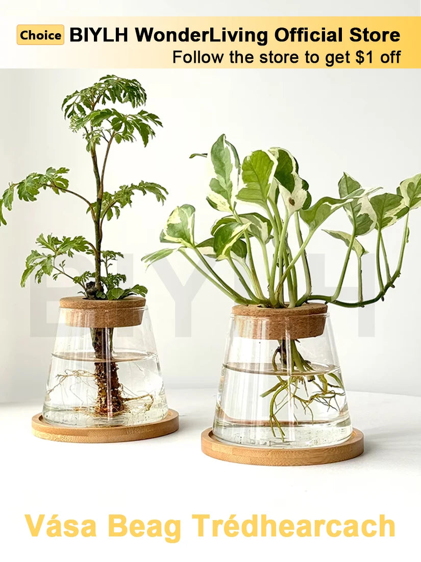 2/1Pcs Transparent Small Vase For Home Decoration Hydroponic Plants Glass Flower Pots Garden Decor With Base Tray Plant Pots