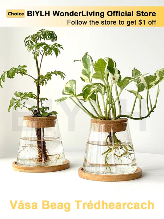 2/1Pcs Transparent Small Vase For Home Decoration Hydroponic Plants Glass Flower Pots Garden Decor With Base Tray Plant Pots