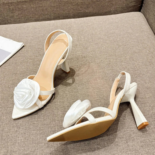 trendy shoe